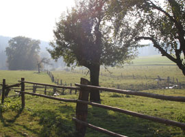 Zulieferer Naturhof Engel
